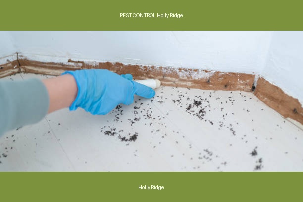 PEST CONTROL Holly Ridge